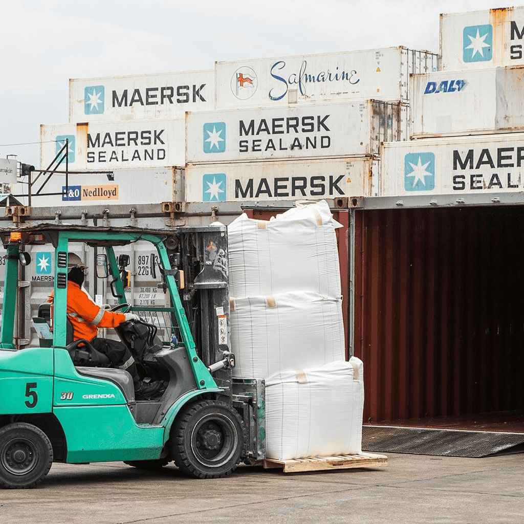 Bulk cargo vessel loading palm kernel expeller at an Indonesian export port